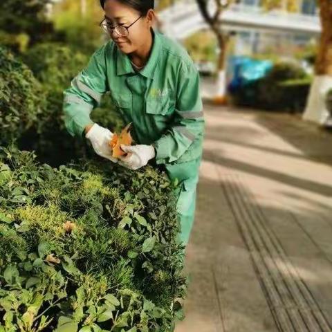 爱司如家   英勇捍卫街头绿地