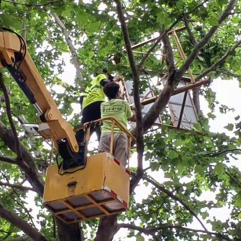 激活红色引擎       彰显先锋担当