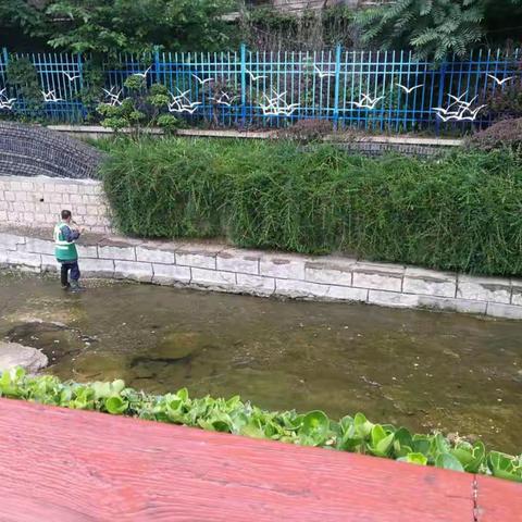 河道勤养护  环境有保障