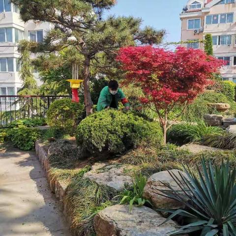 80后小伙的无悔选择：青春与青山常在    ——记区城管局绿化二公司 胡成峰