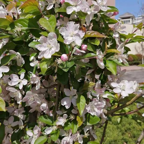 静看花开花落，坐看云卷云舒