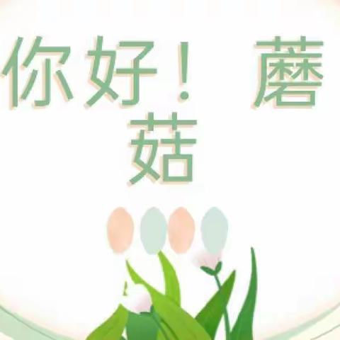 【我们的菇事】——商水县纬三路    幼儿园小一班《种蘑菇》生成活动