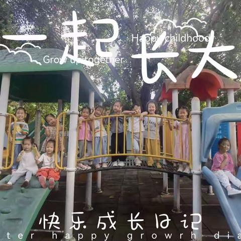 小二班：十一月——美好的幼儿园时光！