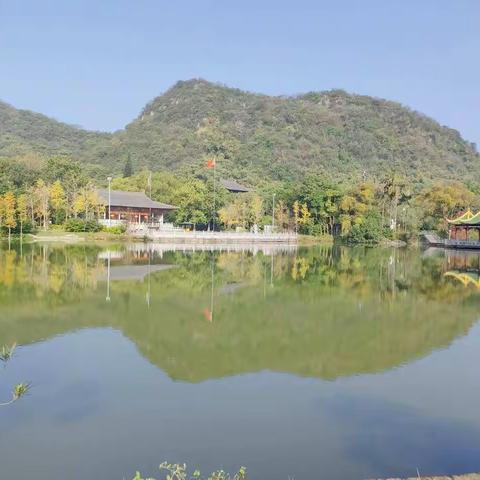 追寻秋的脚步· 开启快乐研学路---柳州市黄土小学走进都乐岩研学活动