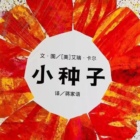 《小种子》一一朵朵班绘本故事推荐