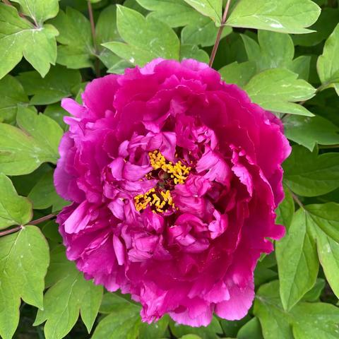 大巩义的美景，无处不在