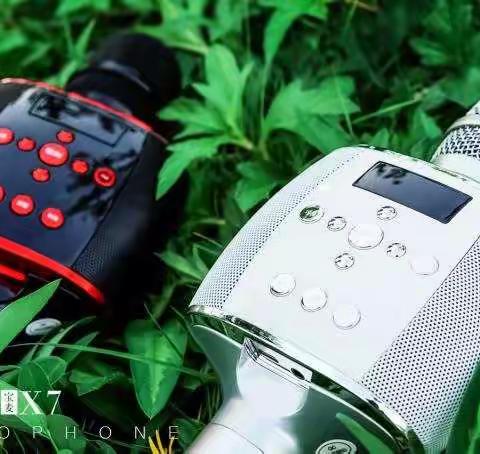 带上音🎶乐去旅行 屁颠虫 AI智能声场麦克风