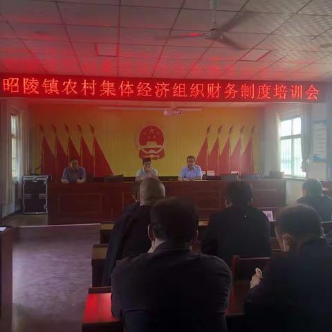昭陵镇组织召开村集体经济组织会计制度培训会