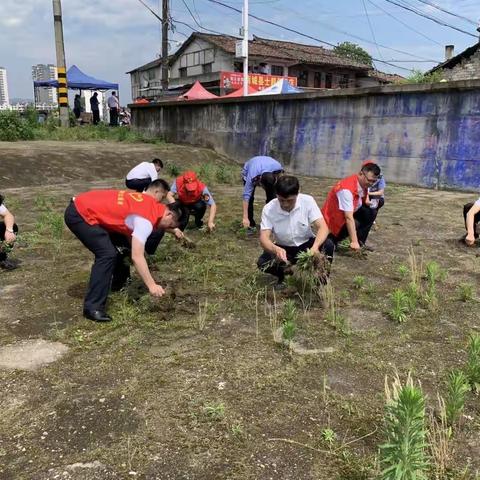 南城县政务服务中心深入跃进路社区开展除草活动改善社区卫生环境增强群众幸福感