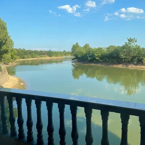 课标研读，助力教师专业化成长