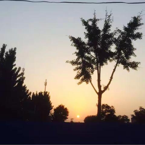 昌平私立汇佳学校