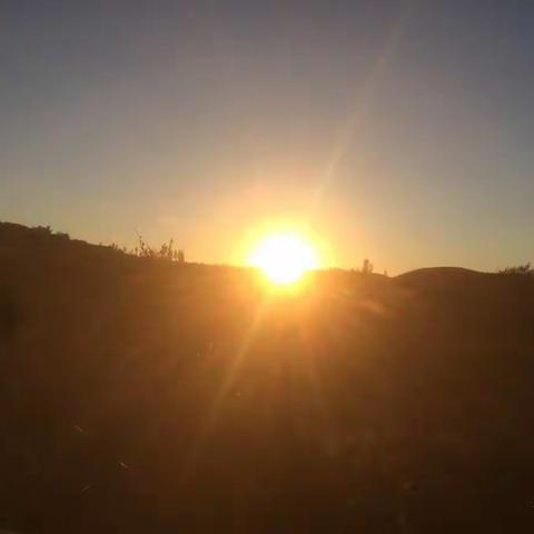 寒暑更迭，草木枯荣，又到了霜叶红于二月花的季节