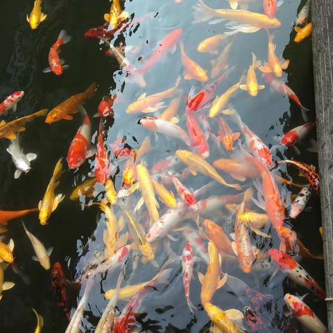 一个有点意思的去处