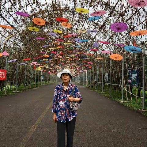 阳光正好，畅步于璞然生态园