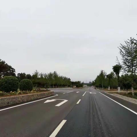 探访福成在建郊野公园