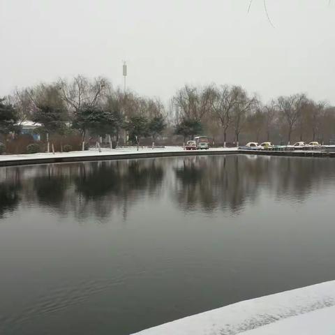 一场春雪，万种风情！