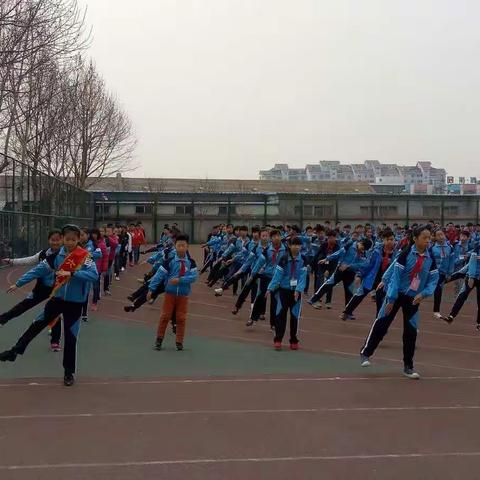 在西青区实验小学的学习情况汇报