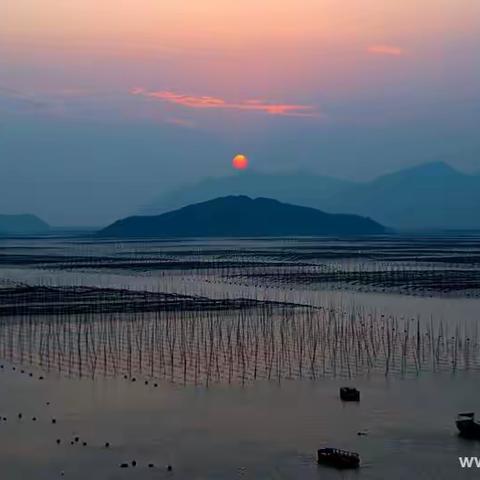 闵南行——霞浦东壁滩涂