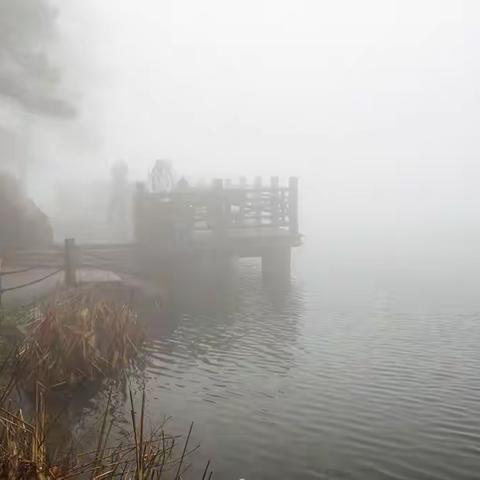 庐山游——烟雨花径