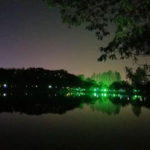 菱湖夜景