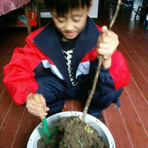 今天是植树节，临岐镇小四（2）班的孩子们加入了植树的队伍，瞧，那一个个认真的样子，快来给我们点赞吧！