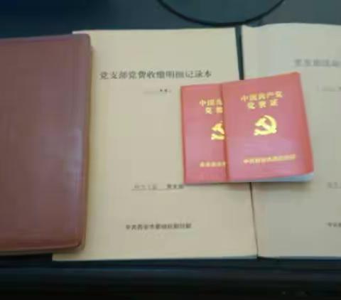 夯实主体责任 强化基层党建——市城管局机关党委督导检查基层党建工作