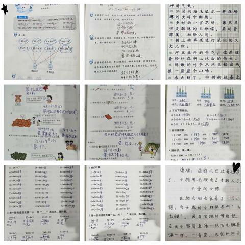 实验小学三（2）班陈嘉乐暑假生活纪实