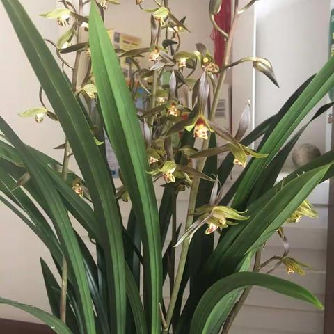 党风廉政进行时