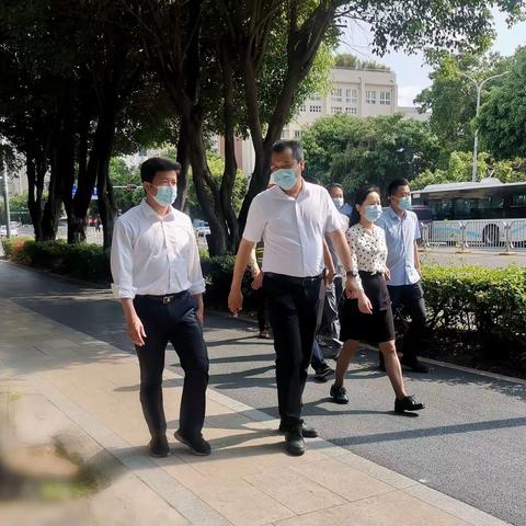 福田管理局关于优化农林路沿线道路交通标线的报告