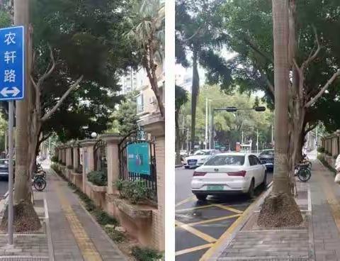 梳理整治农科片区道路标志牌