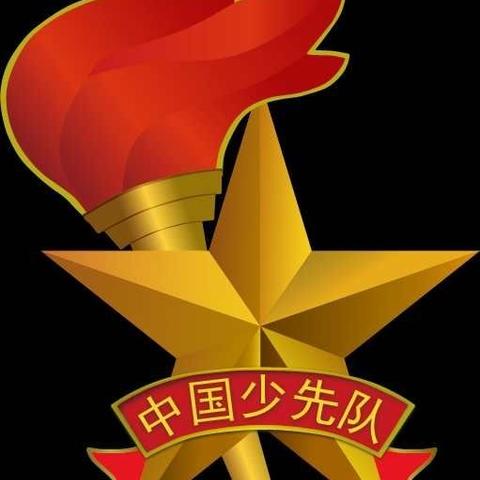 红领巾心向党，星星火炬伴成长----中国少年先锋队洛宁县第二实验小学第一次代表大会隆重召开