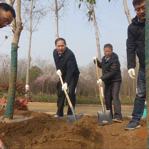 碧水兴城，绿满西安—市水务局开展植树活动
