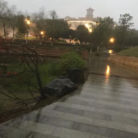 春雨情丝