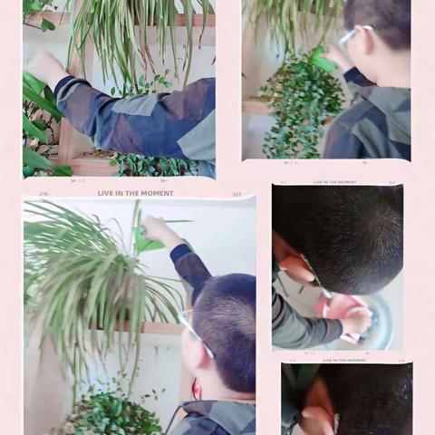 劳动最光荣
