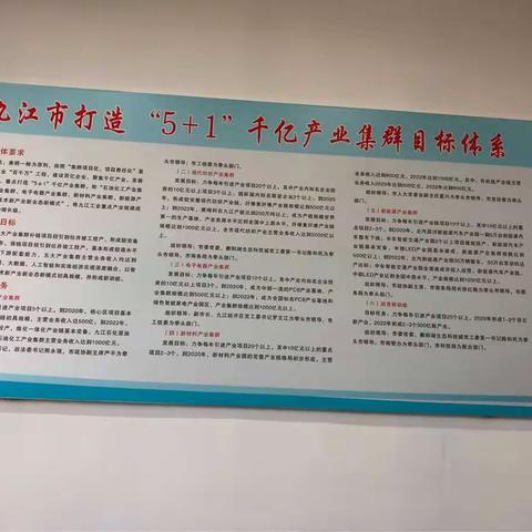 市工信委党委书记汤萍方率队在九江开展学习考察