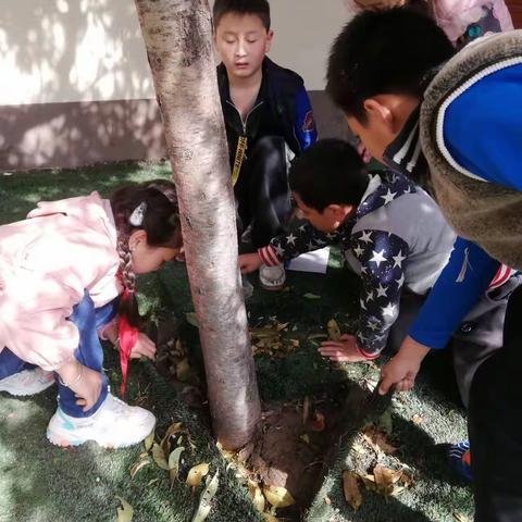 科学探索乐趣多   ——庙后街小学科技周活动剪影