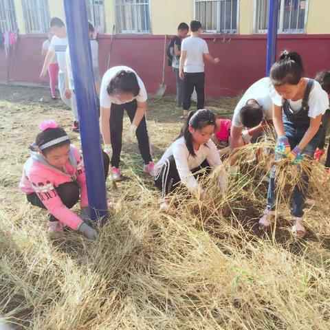 师生齐努力，劳动最光荣  上口镇方吕小学劳动实践活动小记