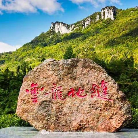 静观的美篇