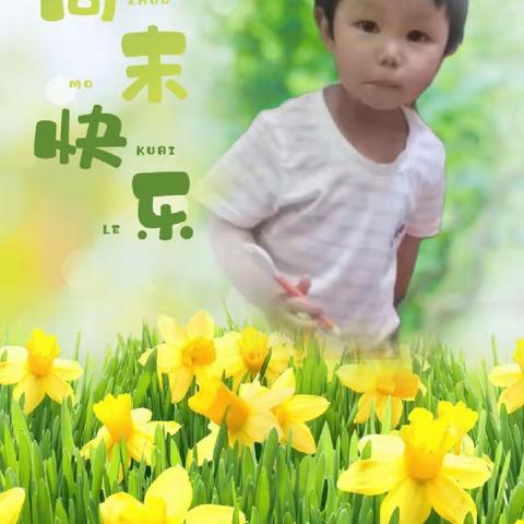 静观的美篇