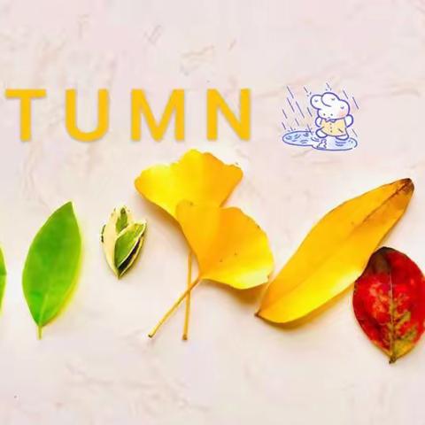 你好，小树叶！——小4班课程故事