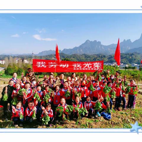 以劳育德    以劳创美———崇实小学南校2021秋季劳动周活动记