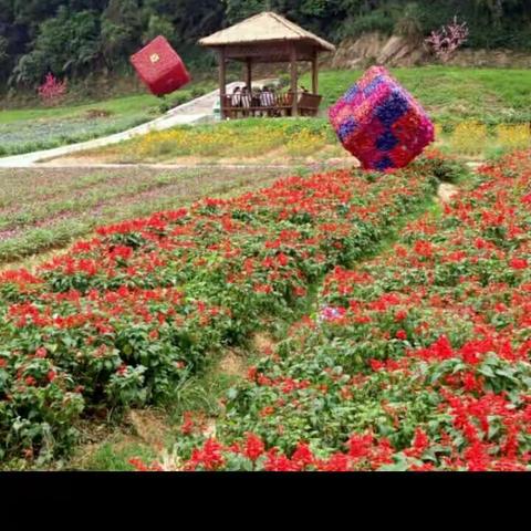 小兔子乖乖视频