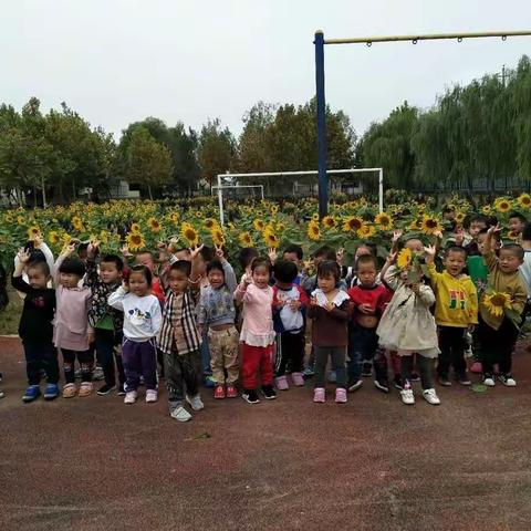 我与幼儿园零距离——营里镇中心幼儿园举行半日开放活动