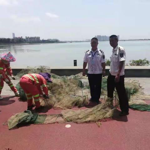 发现情况迅速处置，市综合行政执法局海洋和渔业行政执法支队节日期间持续落实伏季休渔