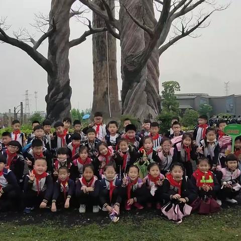 耳闻之不如目见之，目见之不如足践之-----记上溪小学208班春季校外实践活动之森山基地研学之旅