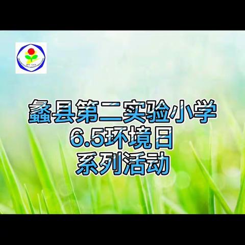 蠡县第二实验小学环境日活动