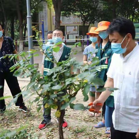 平顶山市住建局园林绿化中心防疫宣传活动