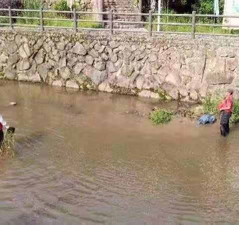 清理河道垃圾整治环境