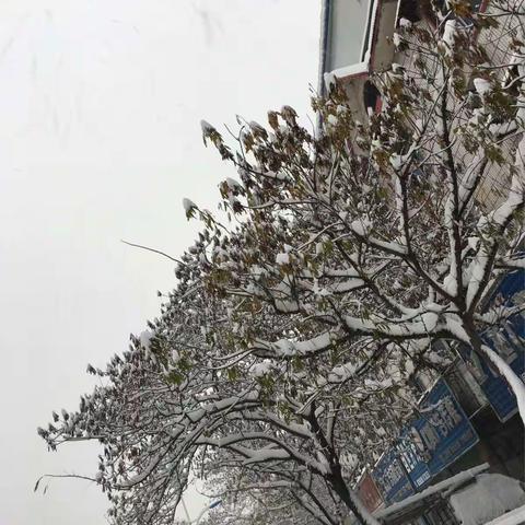 顶风冒雪，界首中医院走进荣光幼儿园