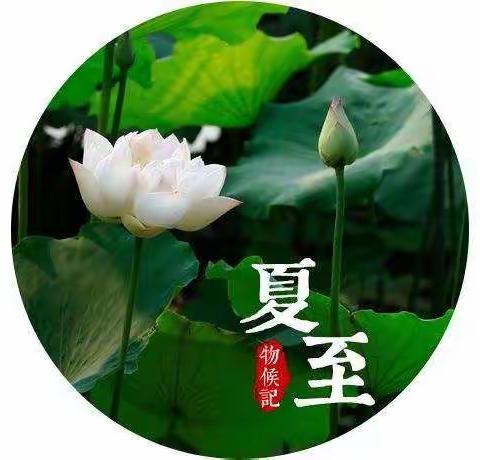【节气课程】二十四节气之夏至
